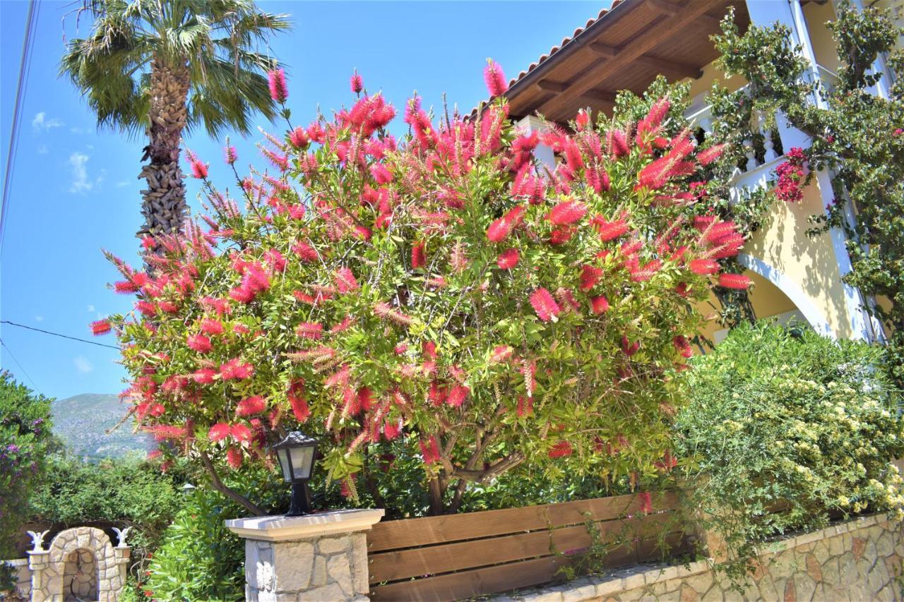 Villa Dionysios Keri Exteriér fotografie