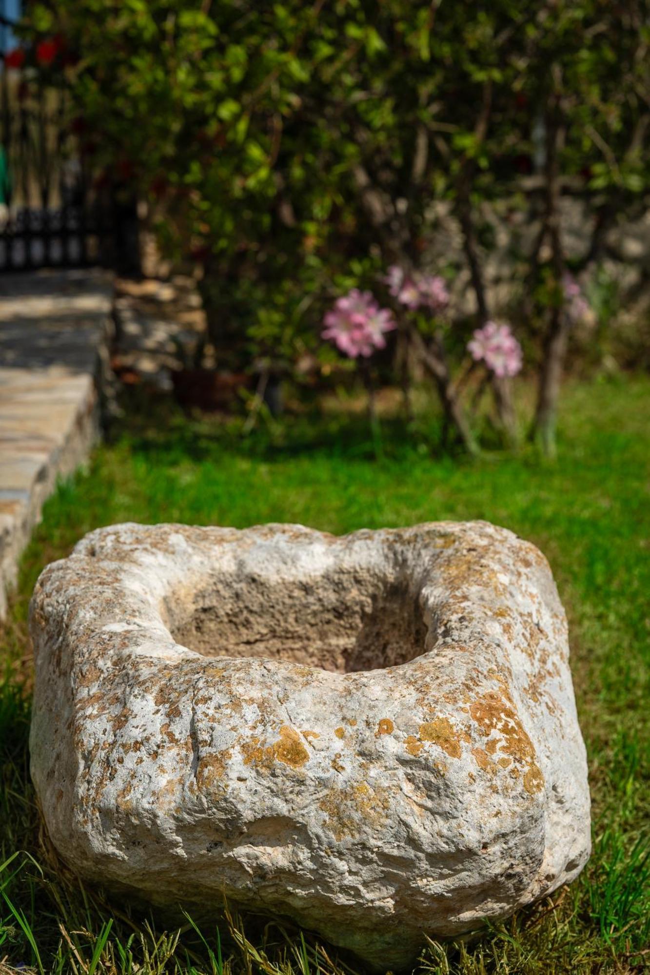 Villa Dionysios Keri Exteriér fotografie