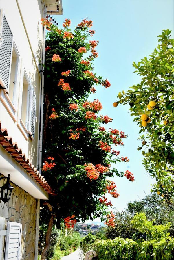 Villa Dionysios Keri Exteriér fotografie